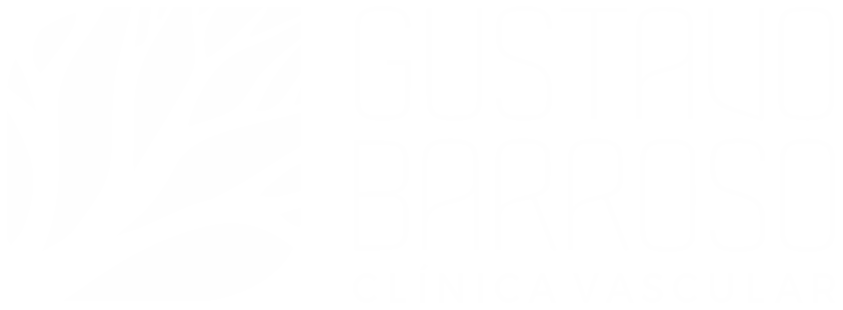 Clinica Vascular Gustavo Barroso - Logo Completa